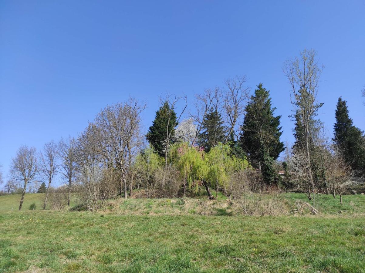L'Oree Des Bois Courpiere Экстерьер фото